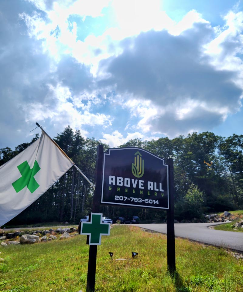 West Newfield, Maine Cannabis 
